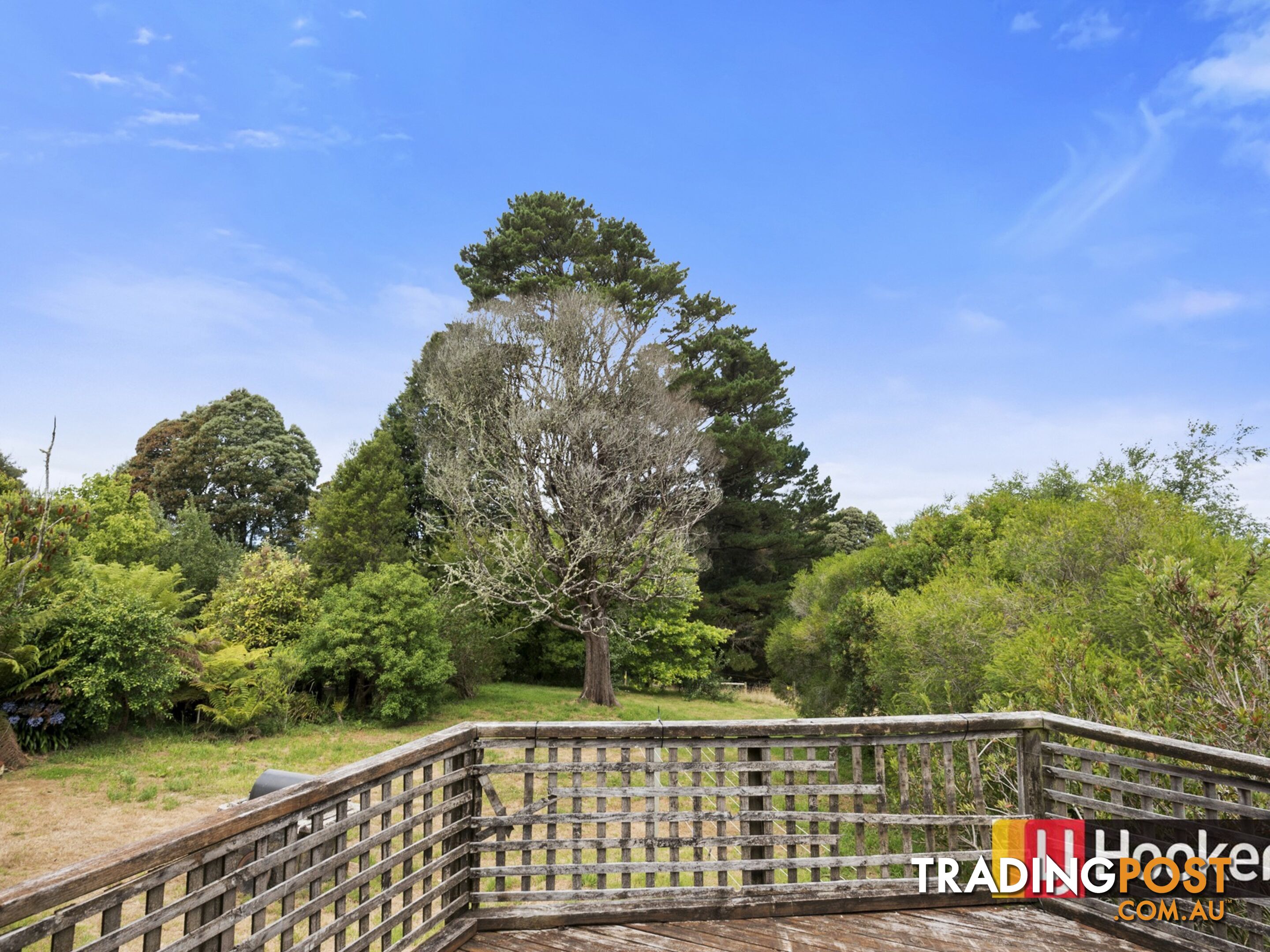 44 Old Main Road BEECH FOREST VIC 3237