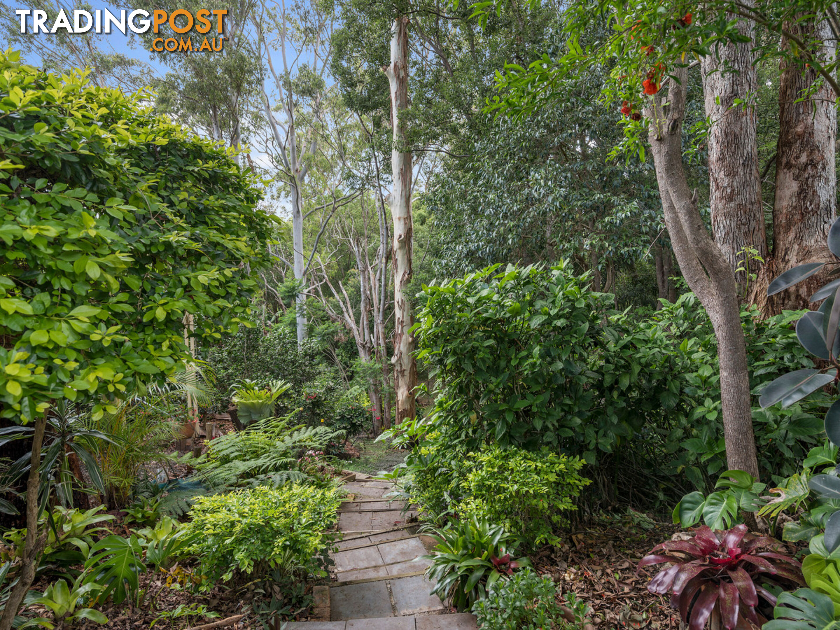 37 Marika Way CURRUMBIN WATERS QLD 4223