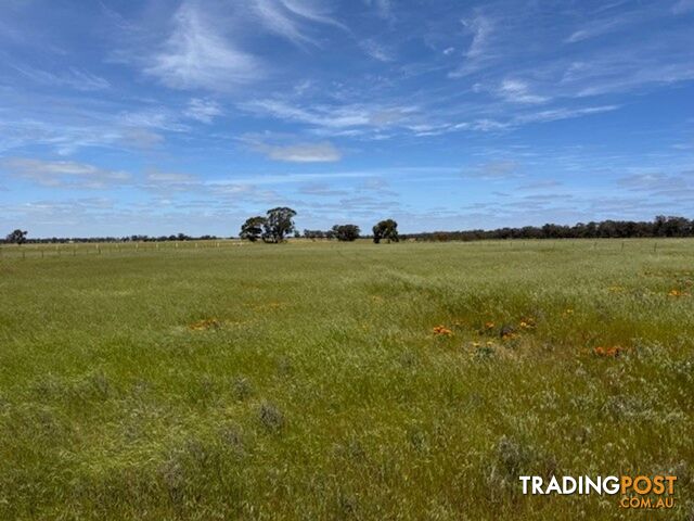 CA 2 Sec 9 Bailie road Inglewood VIC 3517 - photo 3 of 11
