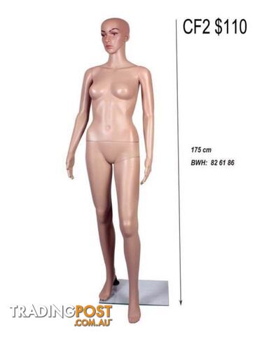 New Kid Male Female Full Half Body Size Mannequin Shop Display - photo 5 of 10