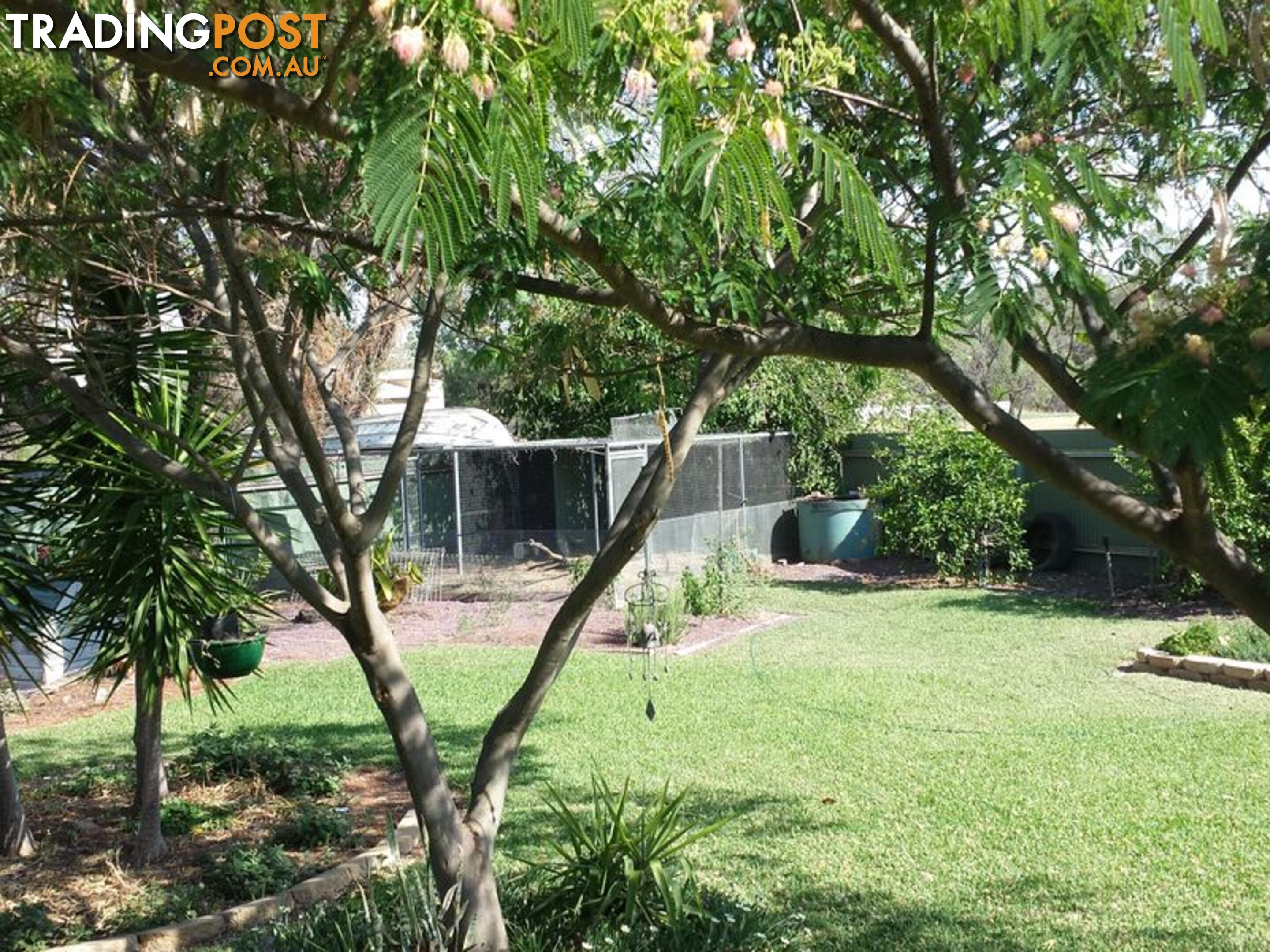 16 Webb Avenue MOREE NSW 2400