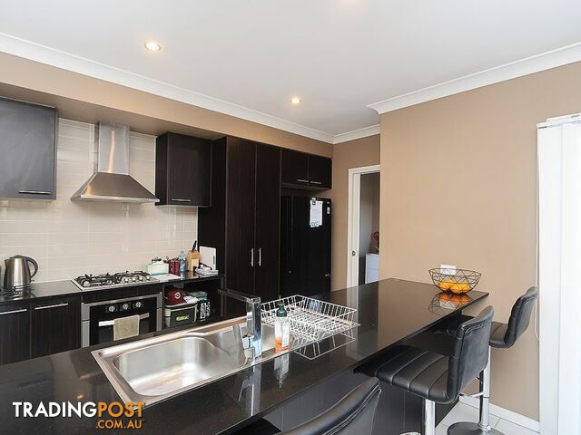 38 Balm Avenue SPRING MOUNTAIN QLD 4300