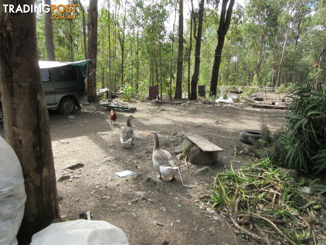 Lot 11 Leslie Creek Road Drake NSW 2469