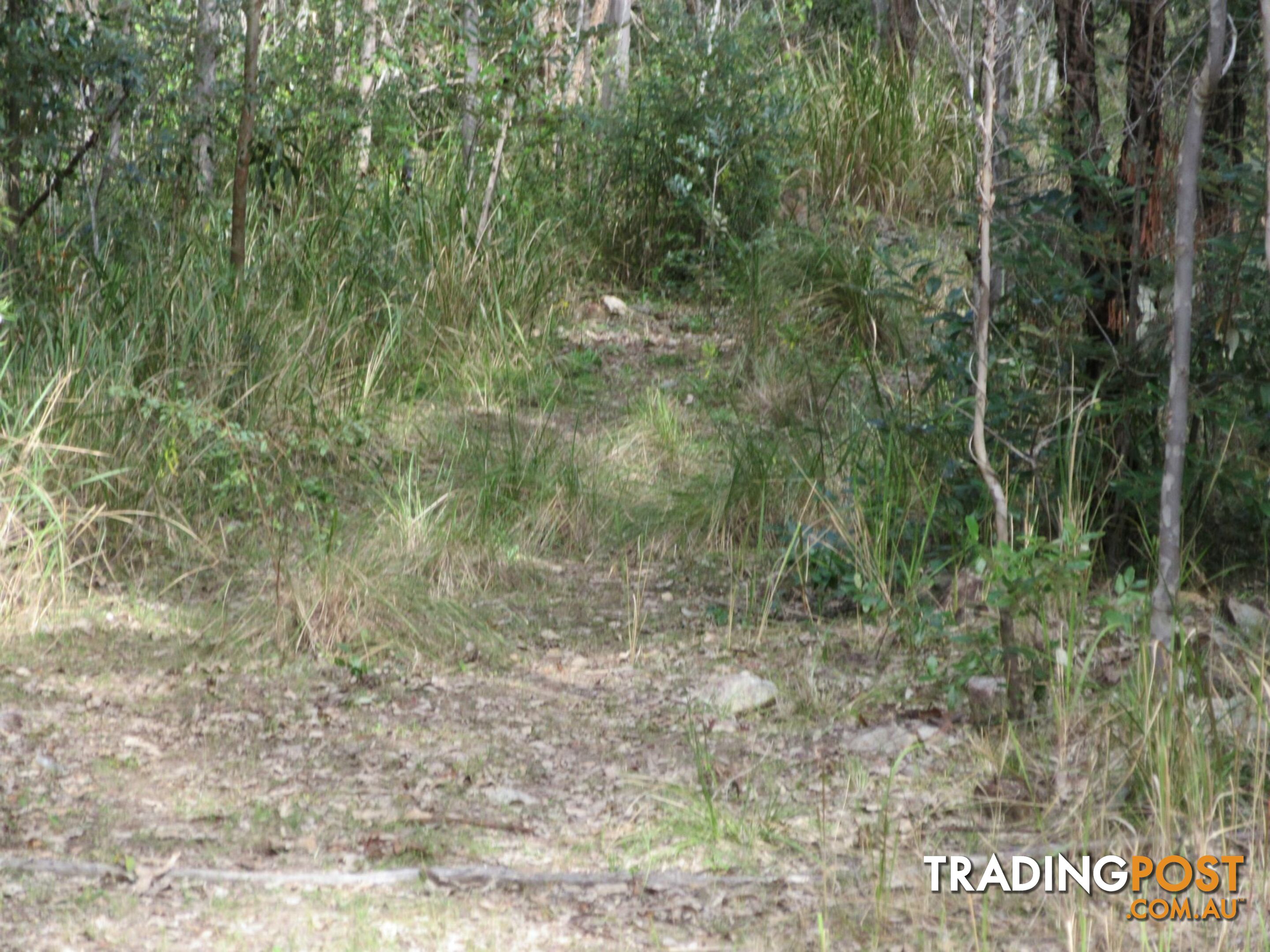 Lot 11 Leslie Creek Road Drake NSW 2469