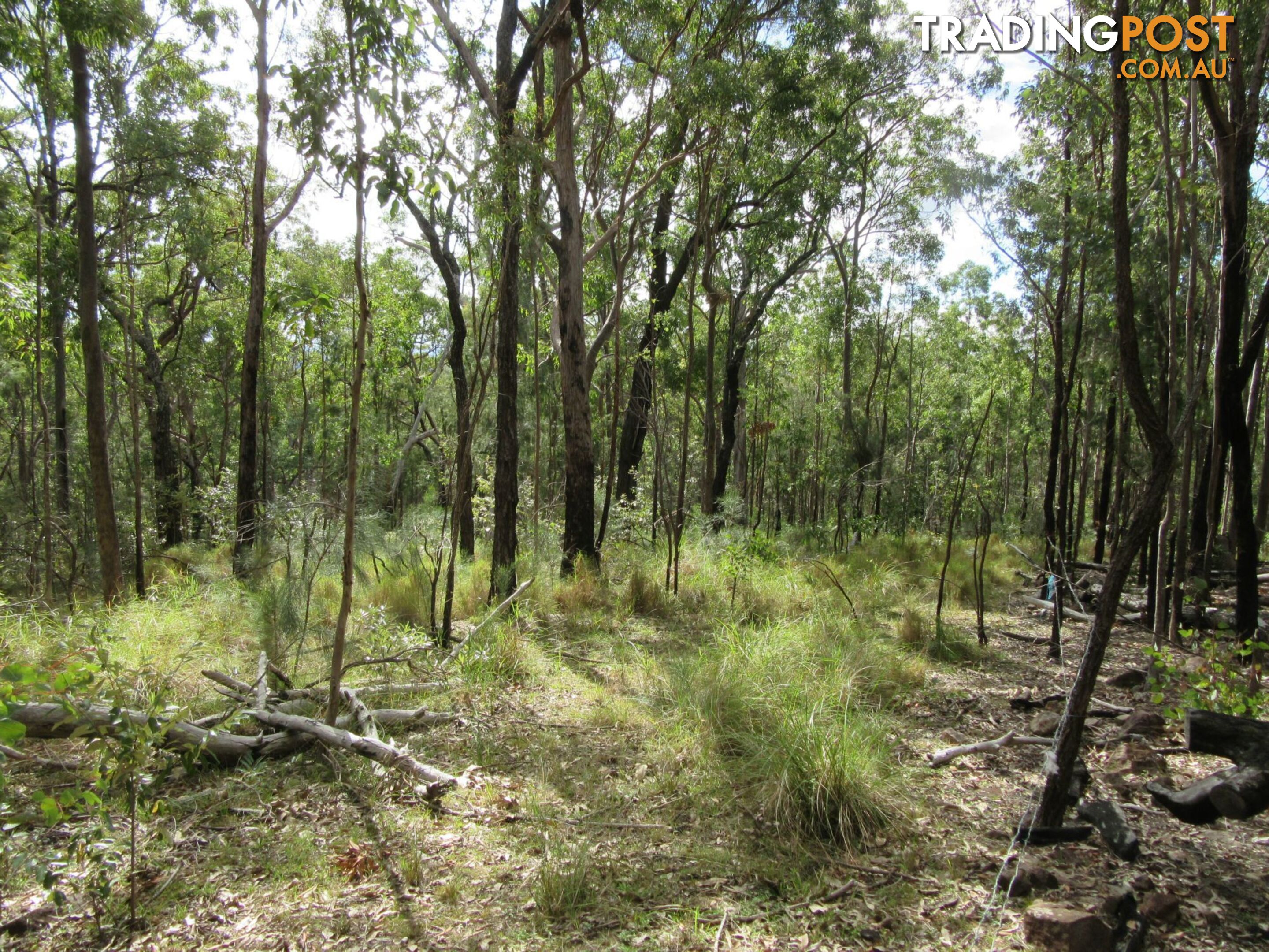 Lot 11 Leslie Creek Road Drake NSW 2469