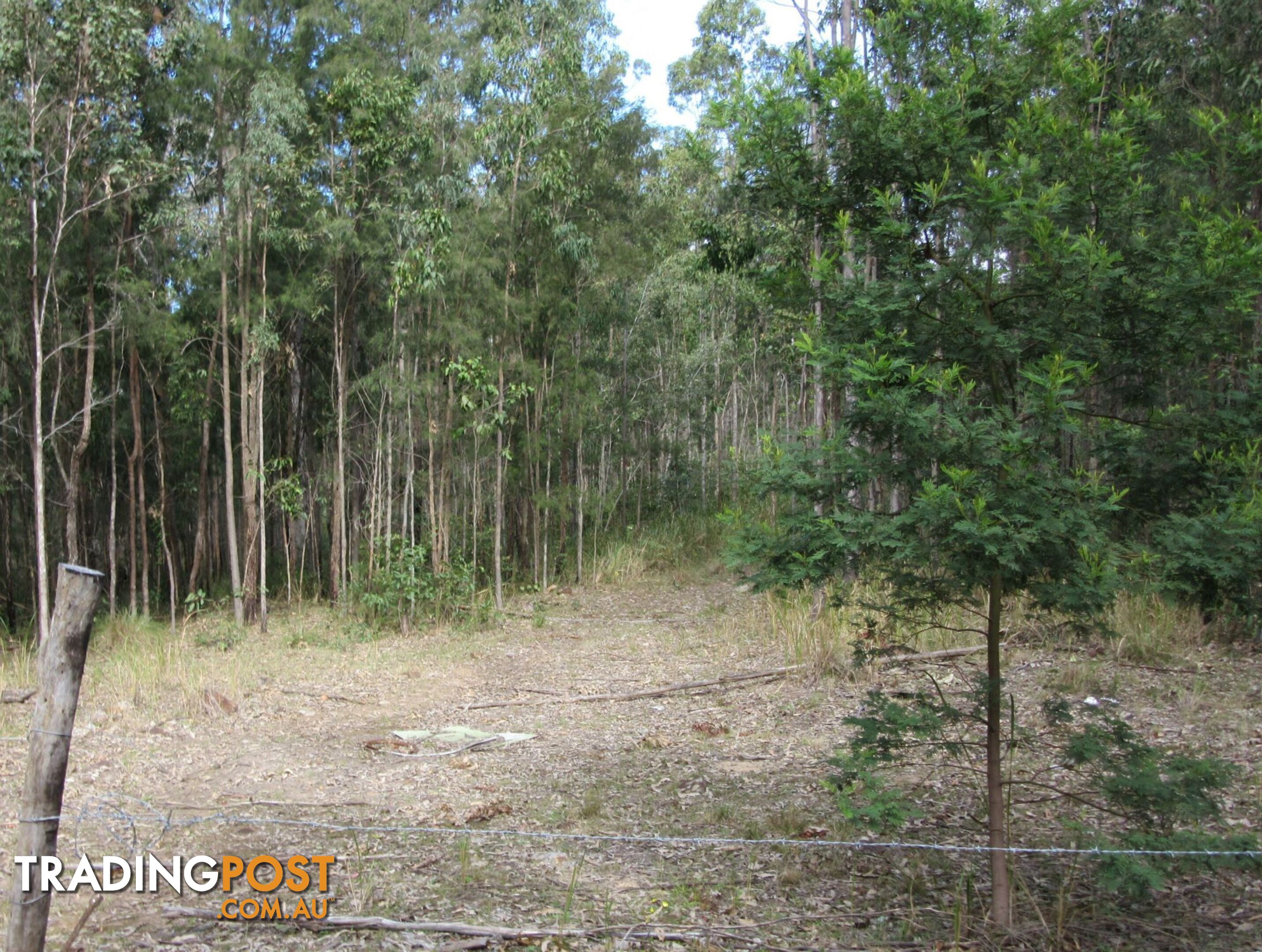 Lot 11 Leslie Creek Road Drake NSW 2469