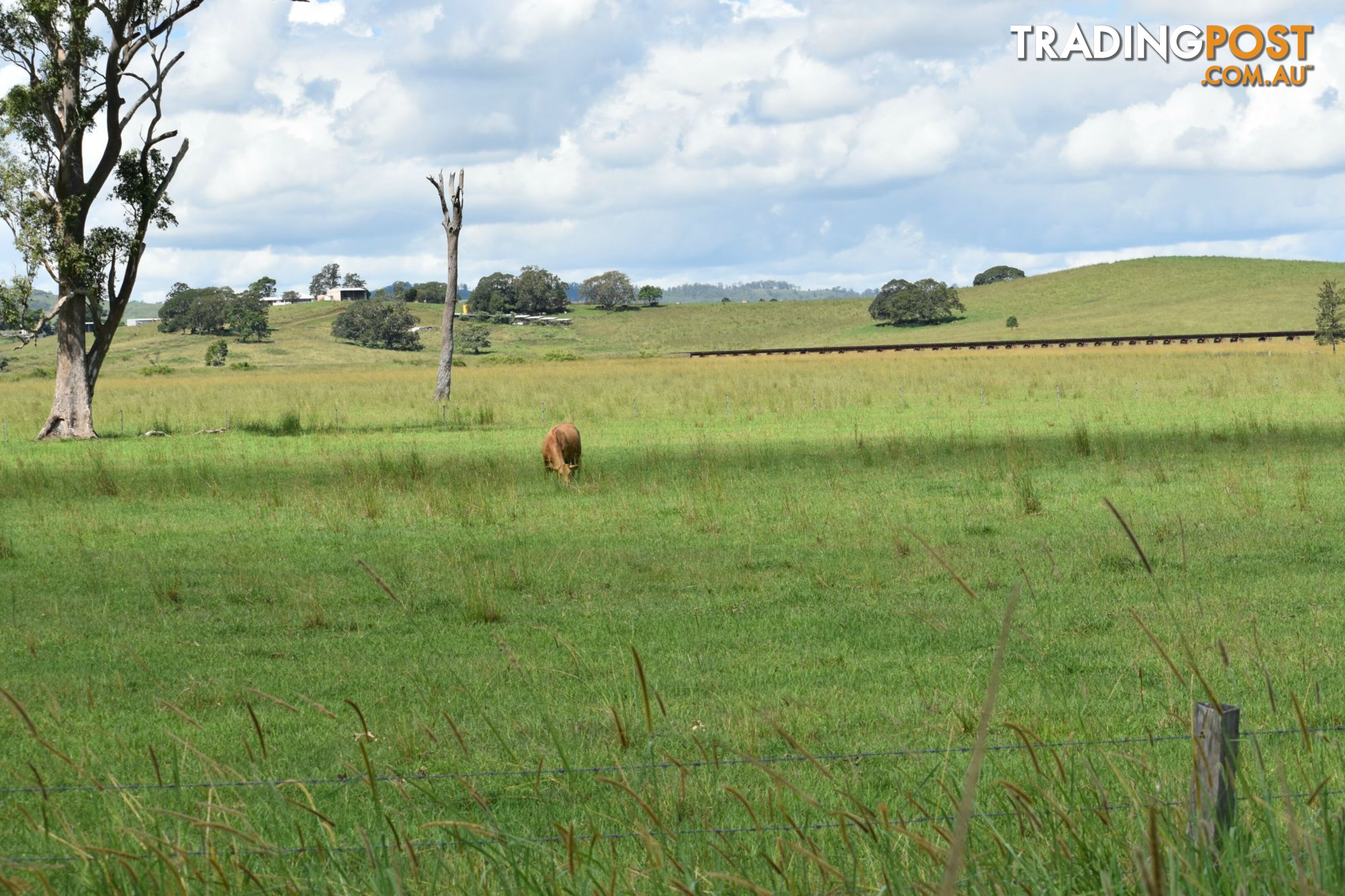 Lot 321 Summerland Way Kyogle NSW 2474