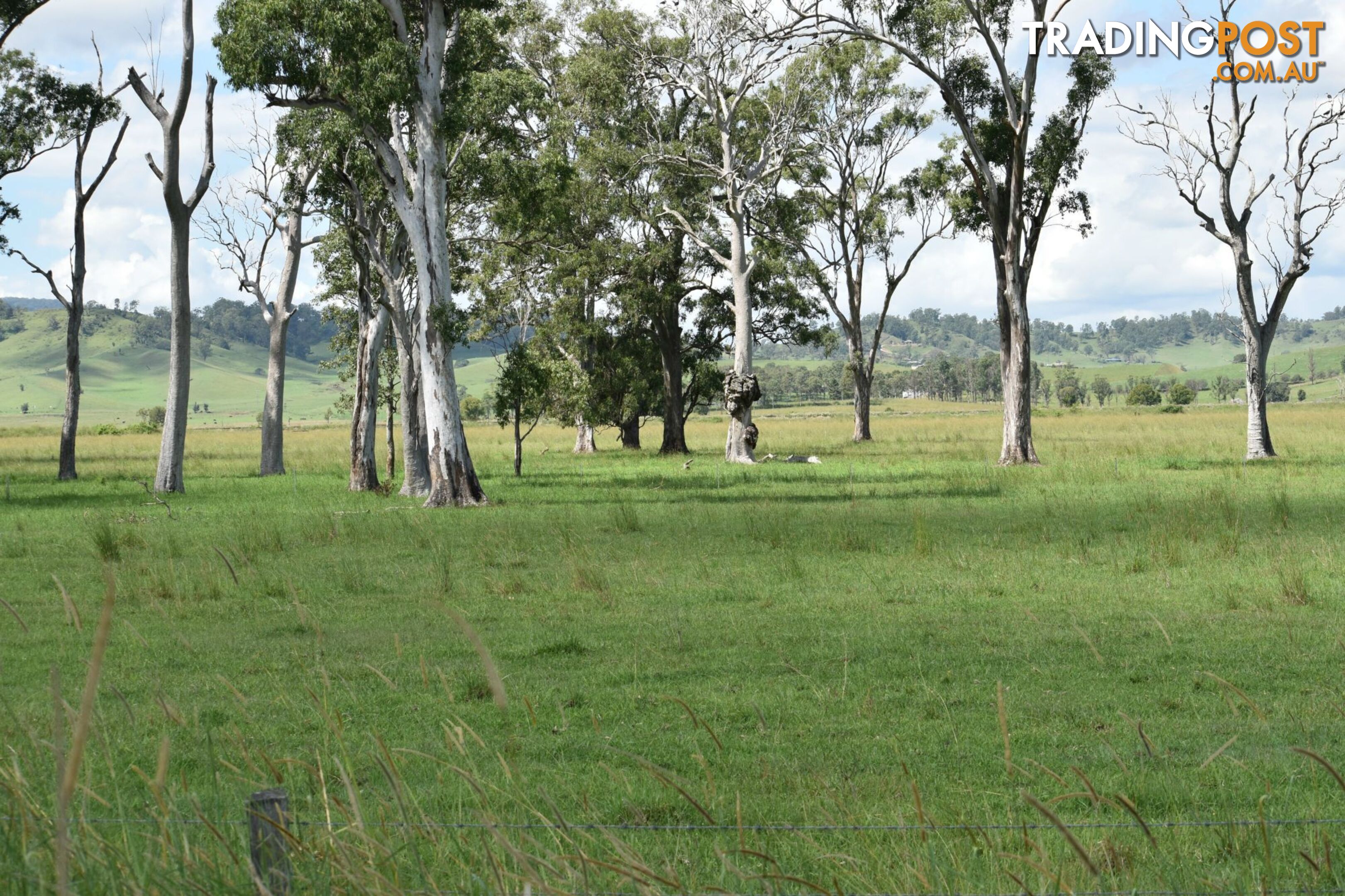 Lot 321 Summerland Way Kyogle NSW 2474