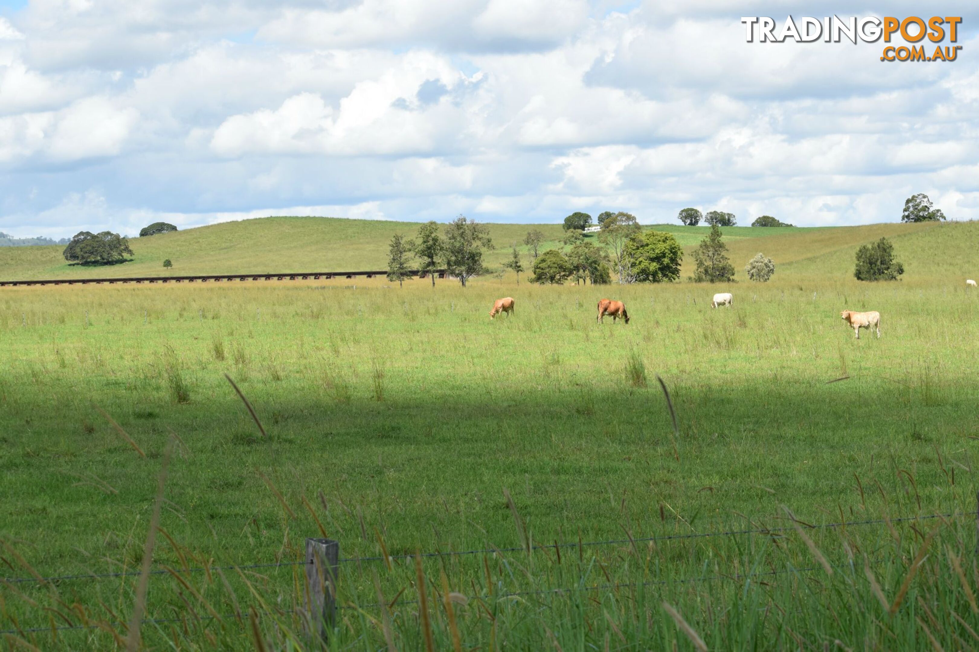 Lot 321 Summerland Way Kyogle NSW 2474