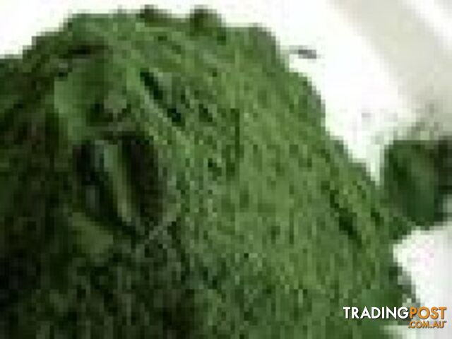 Spirulina Powder, Organic  - 50 grams - Green Living Australia - MPN: 1541
