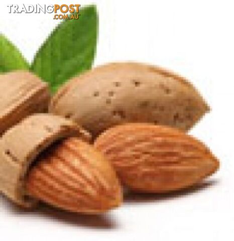Sweet Almond Oil - Green Living Australia - MPN: 1227-ALL