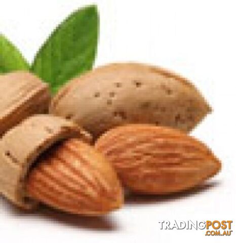 Sweet Almond Oil - Green Living Australia - MPN: 1227-ALL