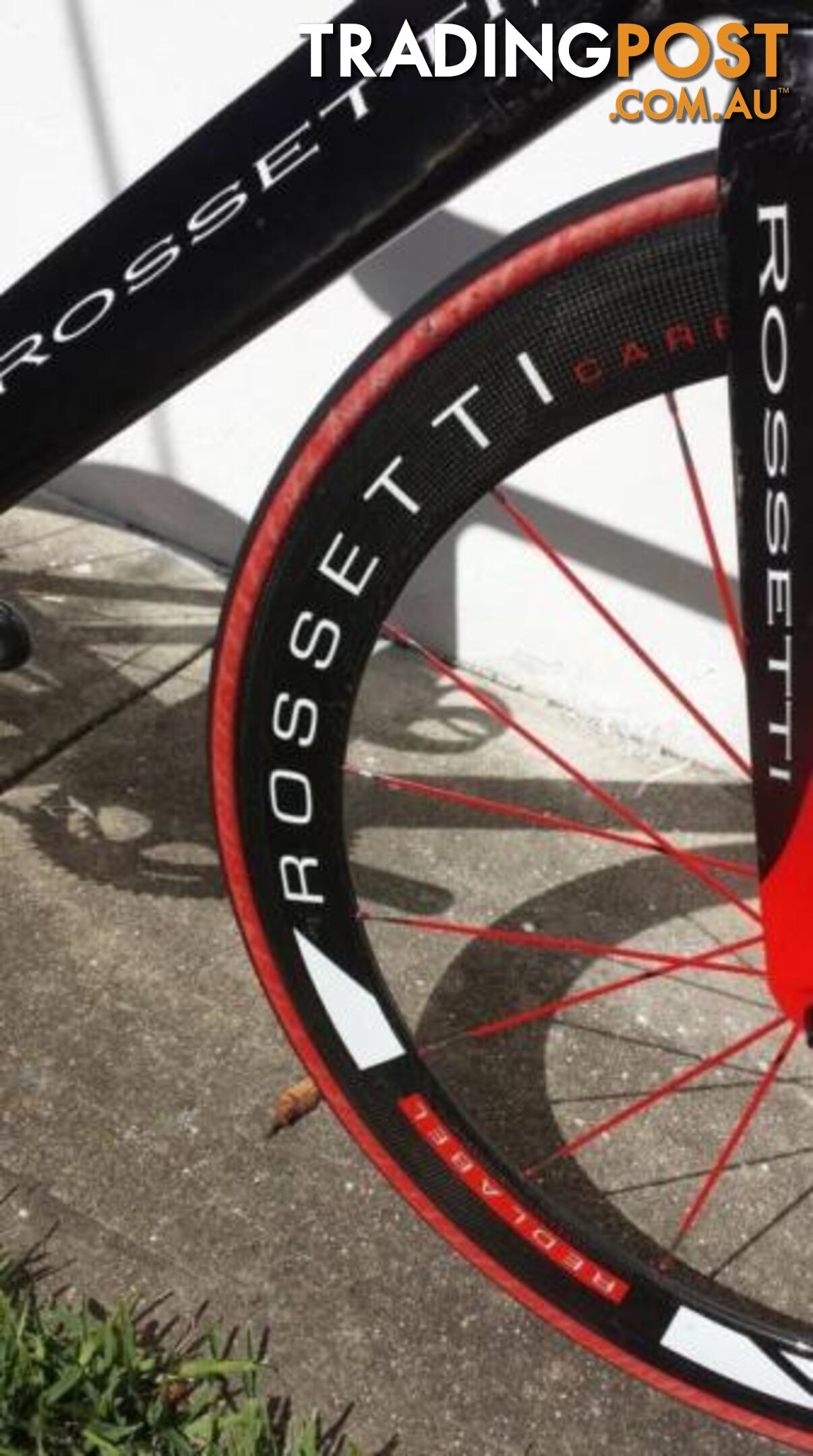 Rossetti Pantera! M/L. Sram Red 10s. Red Label Carbon Clinchers.