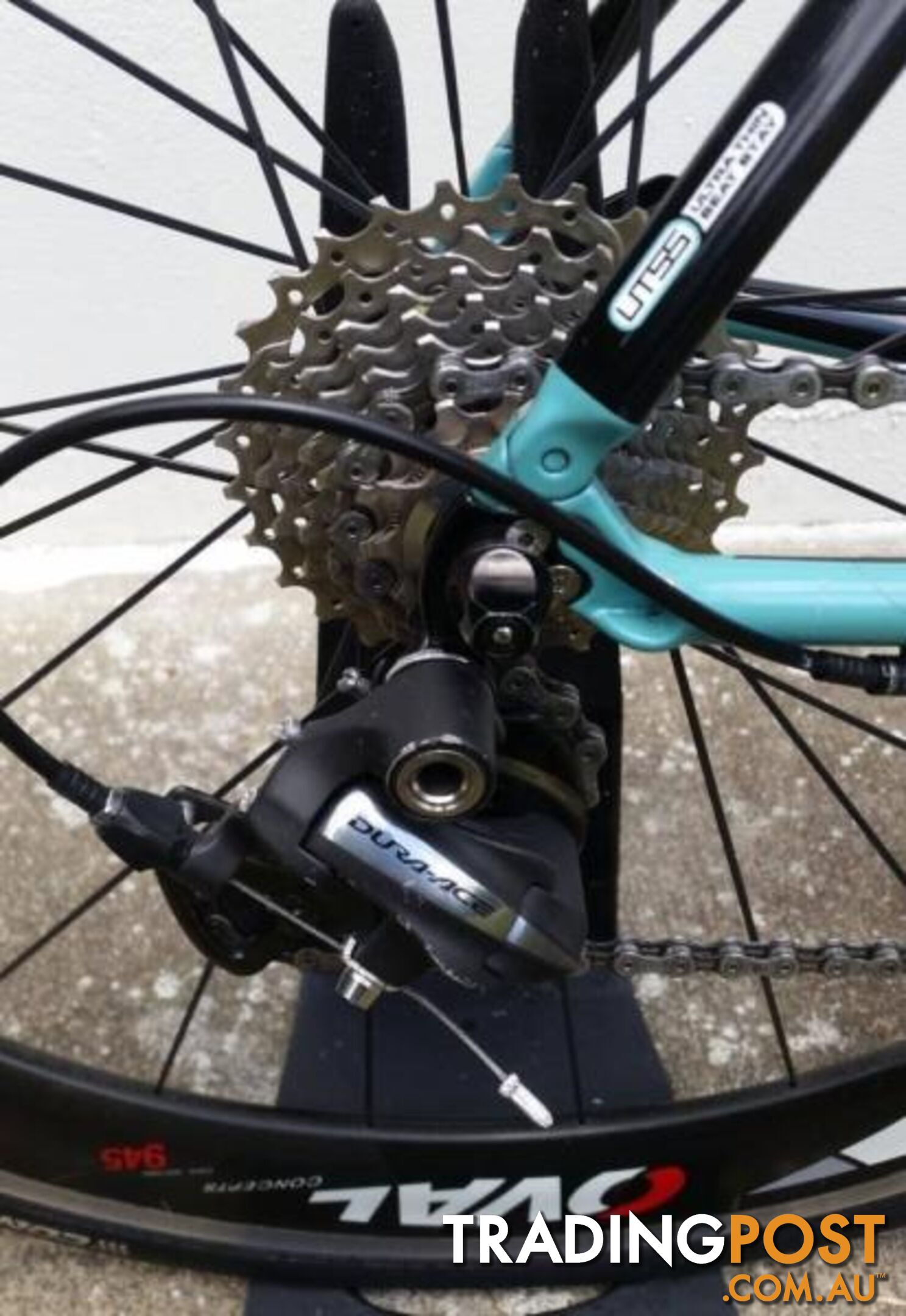 Bianchi Sempre Pro. M. Dura Ace 10s. Carbon Clinchers!