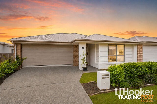 43 Dorrigo Street YARRABILBA QLD 4207