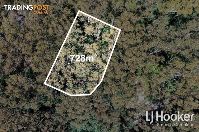 1 Wattle Grove SPRINGBROOK QLD 4213