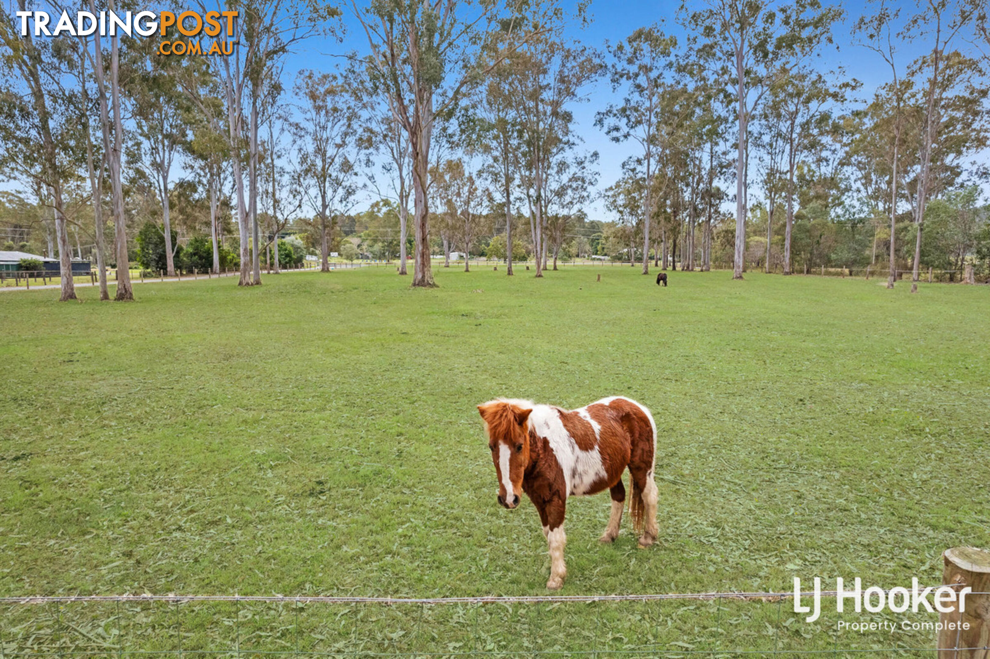 383-391 Quinzeh Creek Road LOGAN VILLAGE QLD 4207