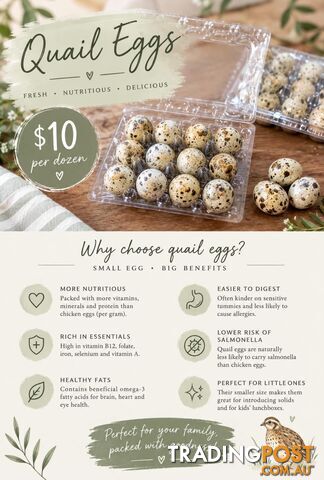 Fresh quail eggs