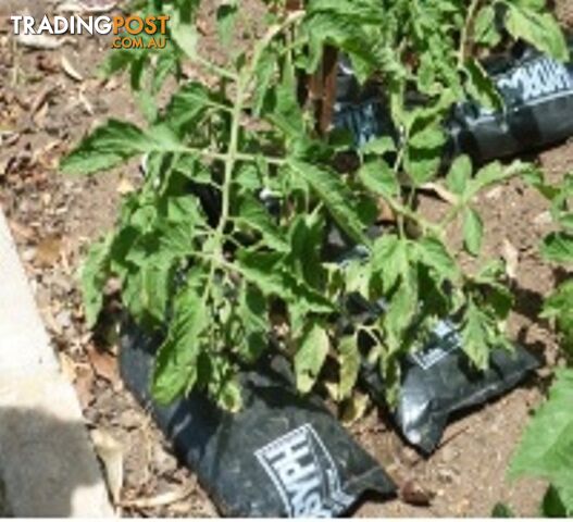 Hydrosyph Watering System – Get Ready for Summer
