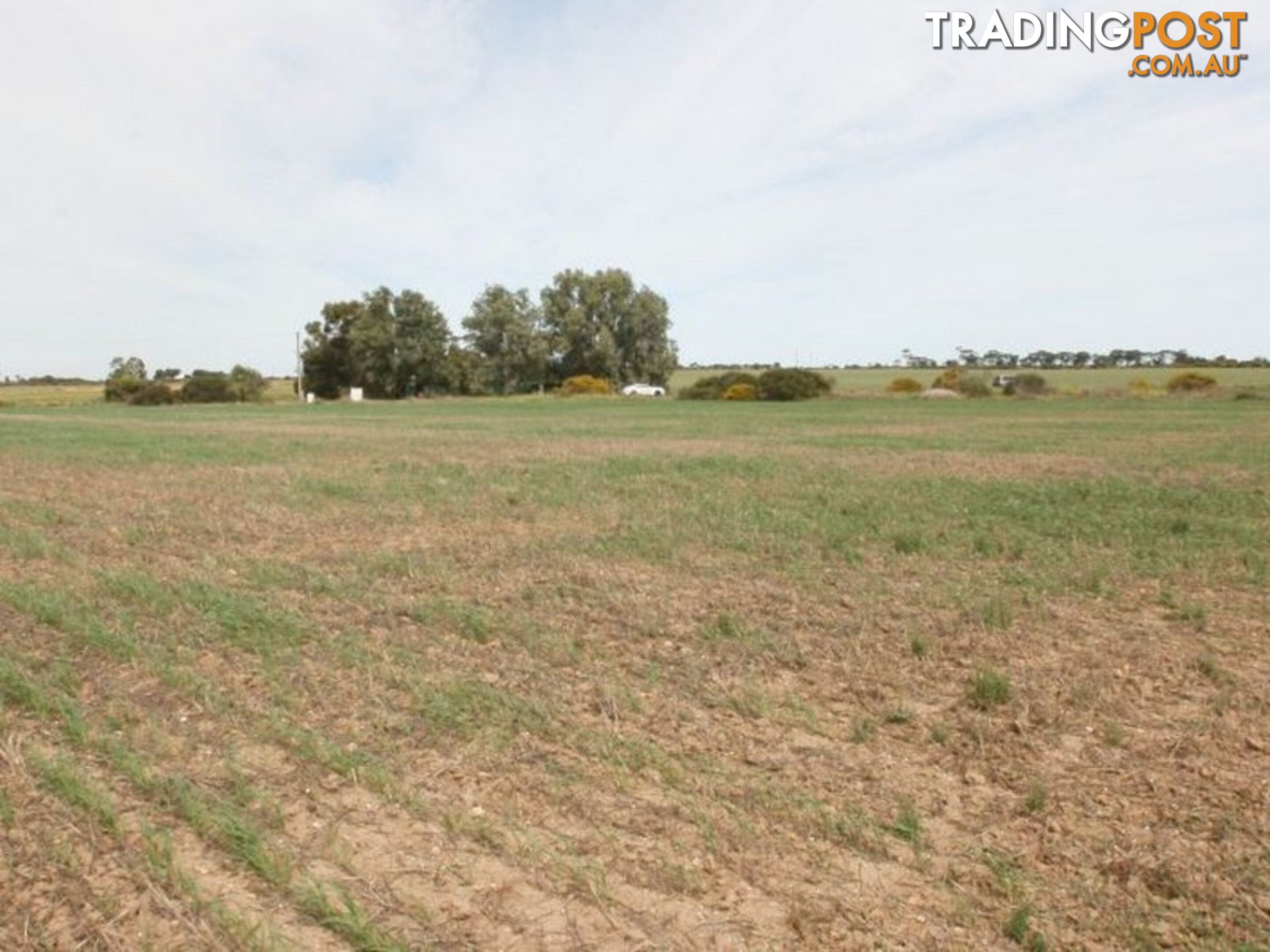 Lot 101 Donaldson Road KADINA SA 5554