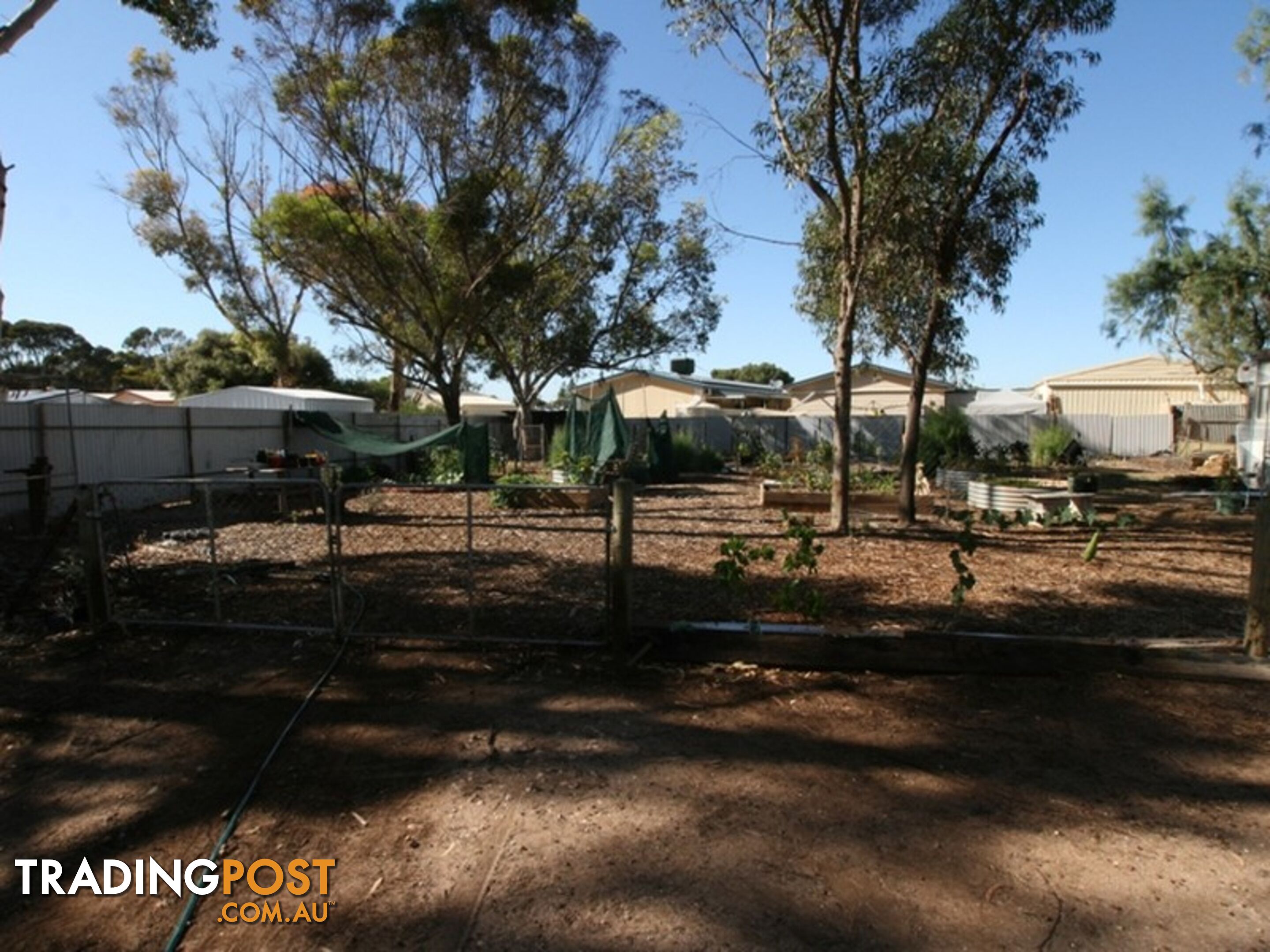 21 Letcher Street KADINA SA 5554