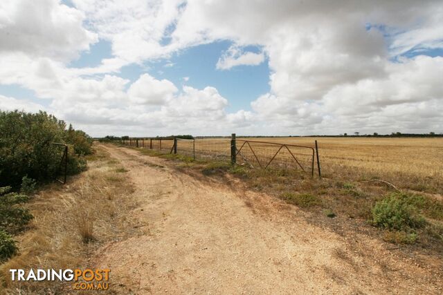 Section/1312 Mines Road KADINA SA 5554