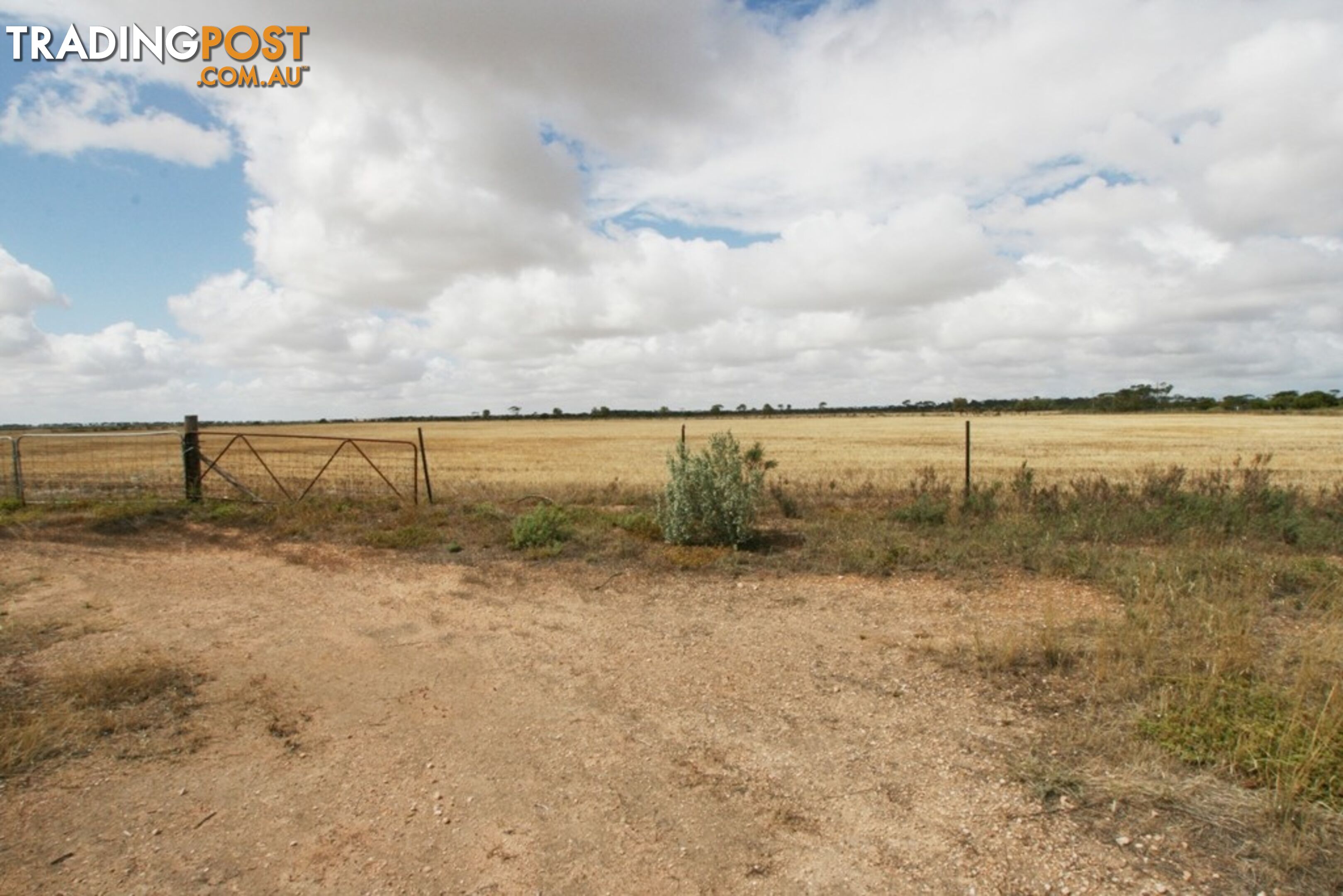 Section/1312 Mines Road KADINA SA 5554