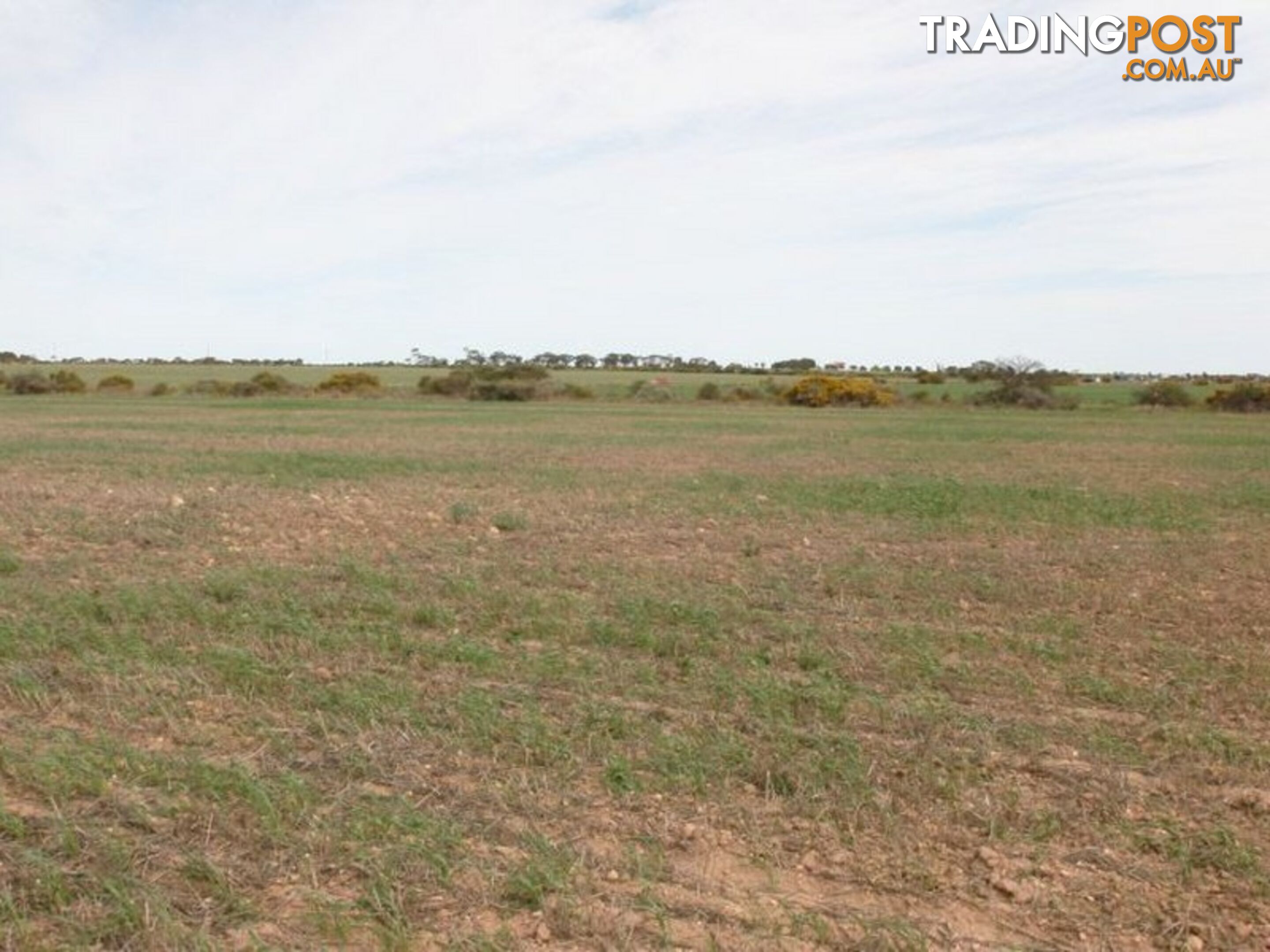 Lot 102 Donaldson Road KADINA SA 5554