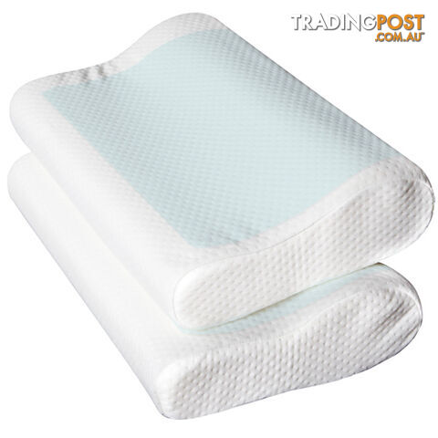 Set of 2 Cool Gel Top Memory Foam Pillow