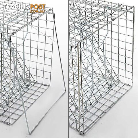 Humane Animal Trap Cage - Extra Extra Large