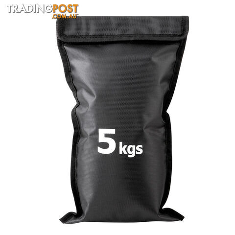 Sandbag Gym Training Weights 30 kg