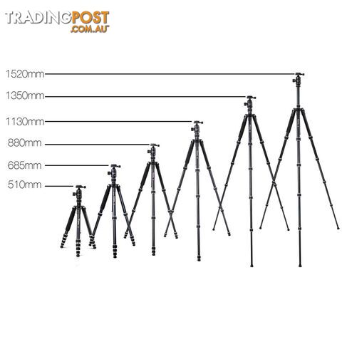 Professional 2 IN 1 Monopod/Tripod Digital Camera 152cm