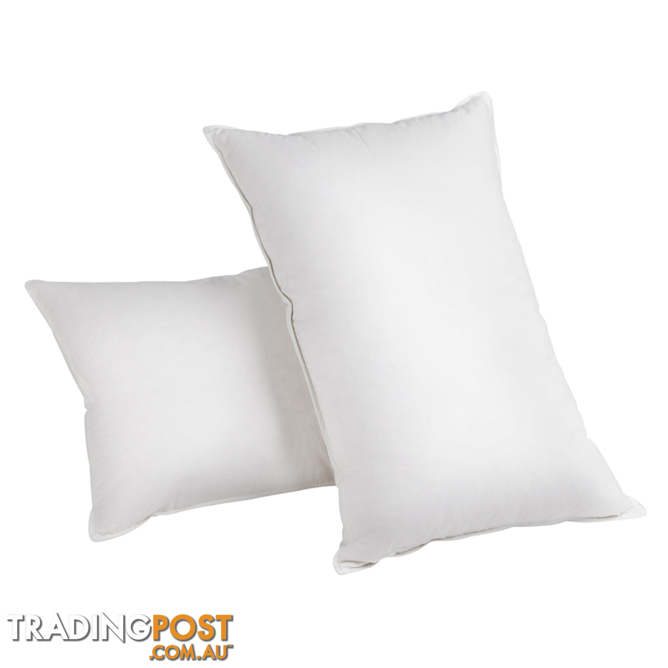 Set of 2 Goose Feathers & Down Pillow