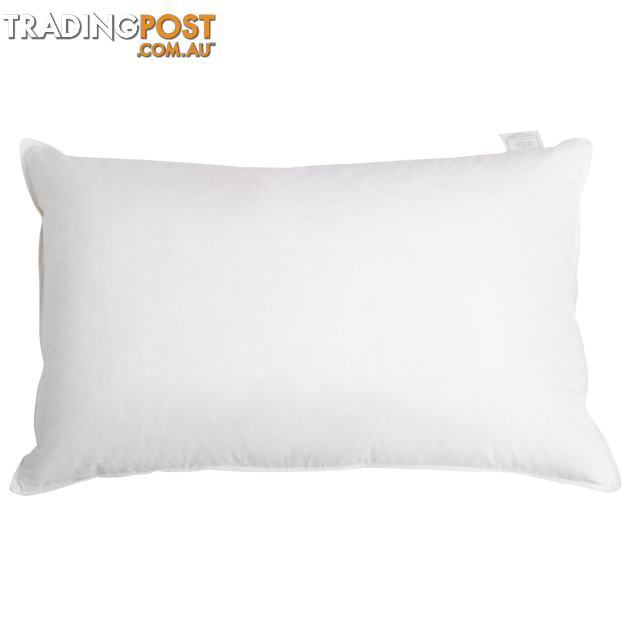 Set of 2 Goose Feathers & Down Pillow