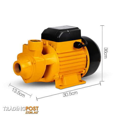 Electric Clean Water Pump 3300L/Hour 1/HP