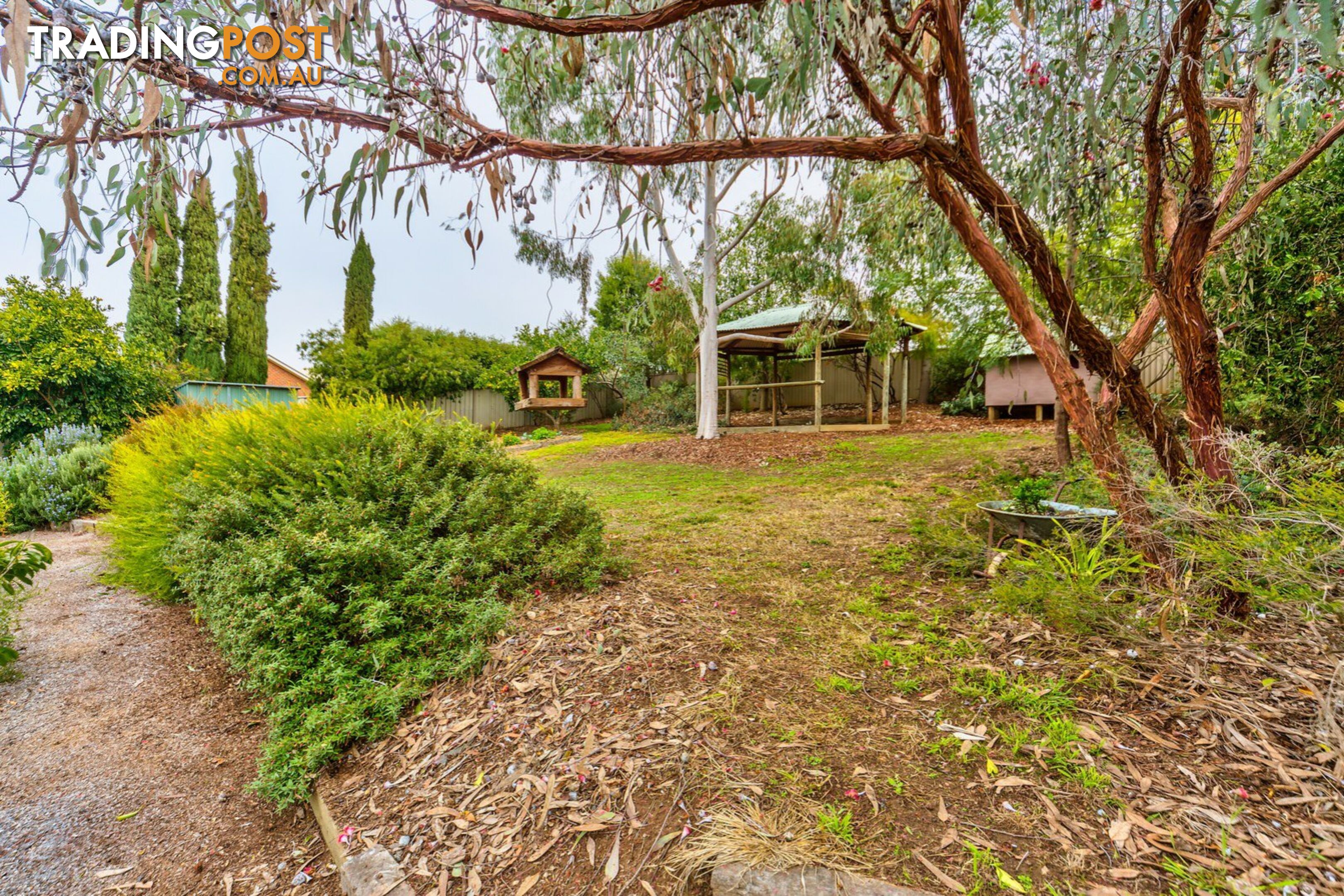 11 Briwood Court ALBURY NSW 2640