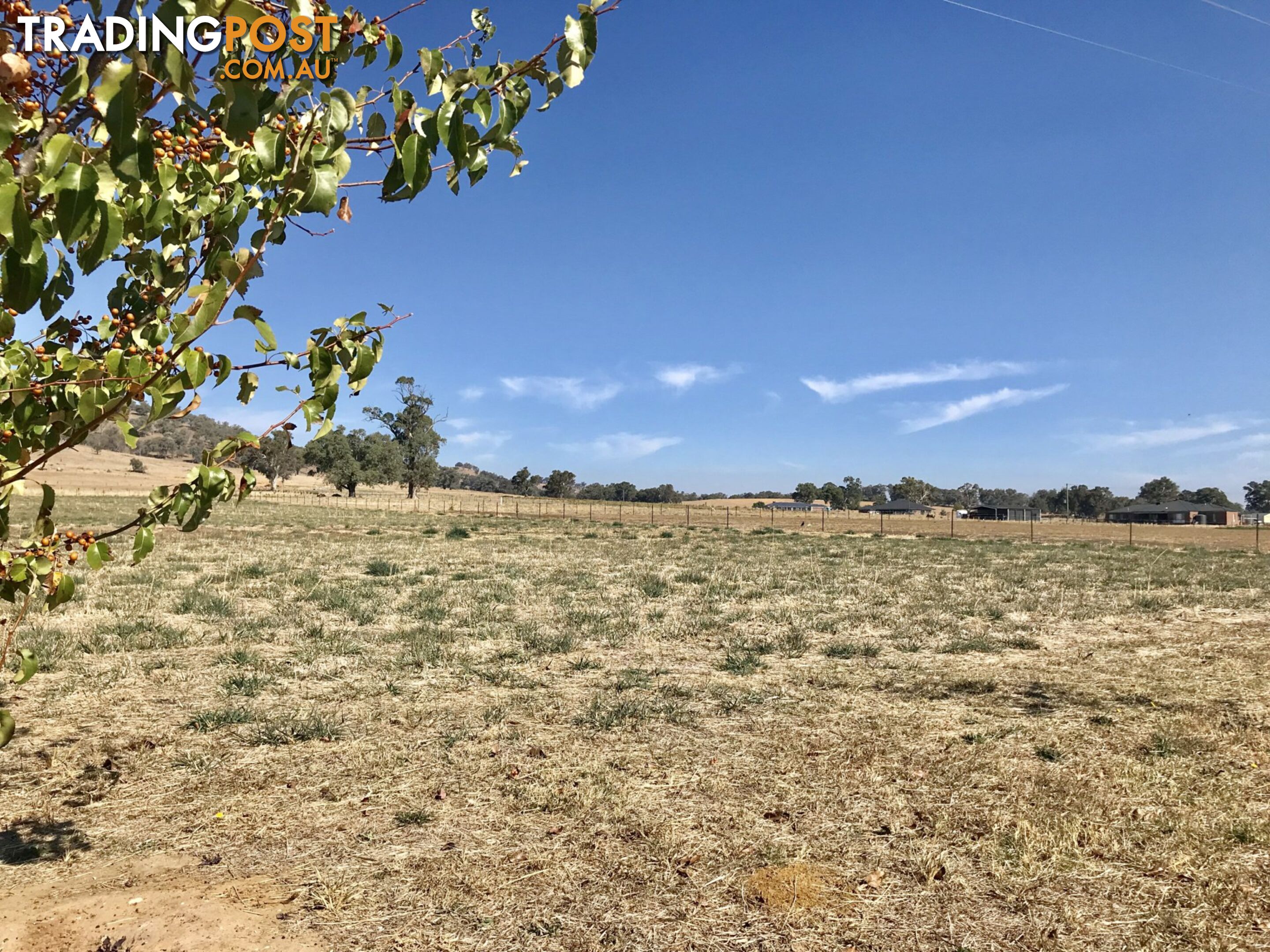 44 Coogera Circuit JINDERA NSW 2642