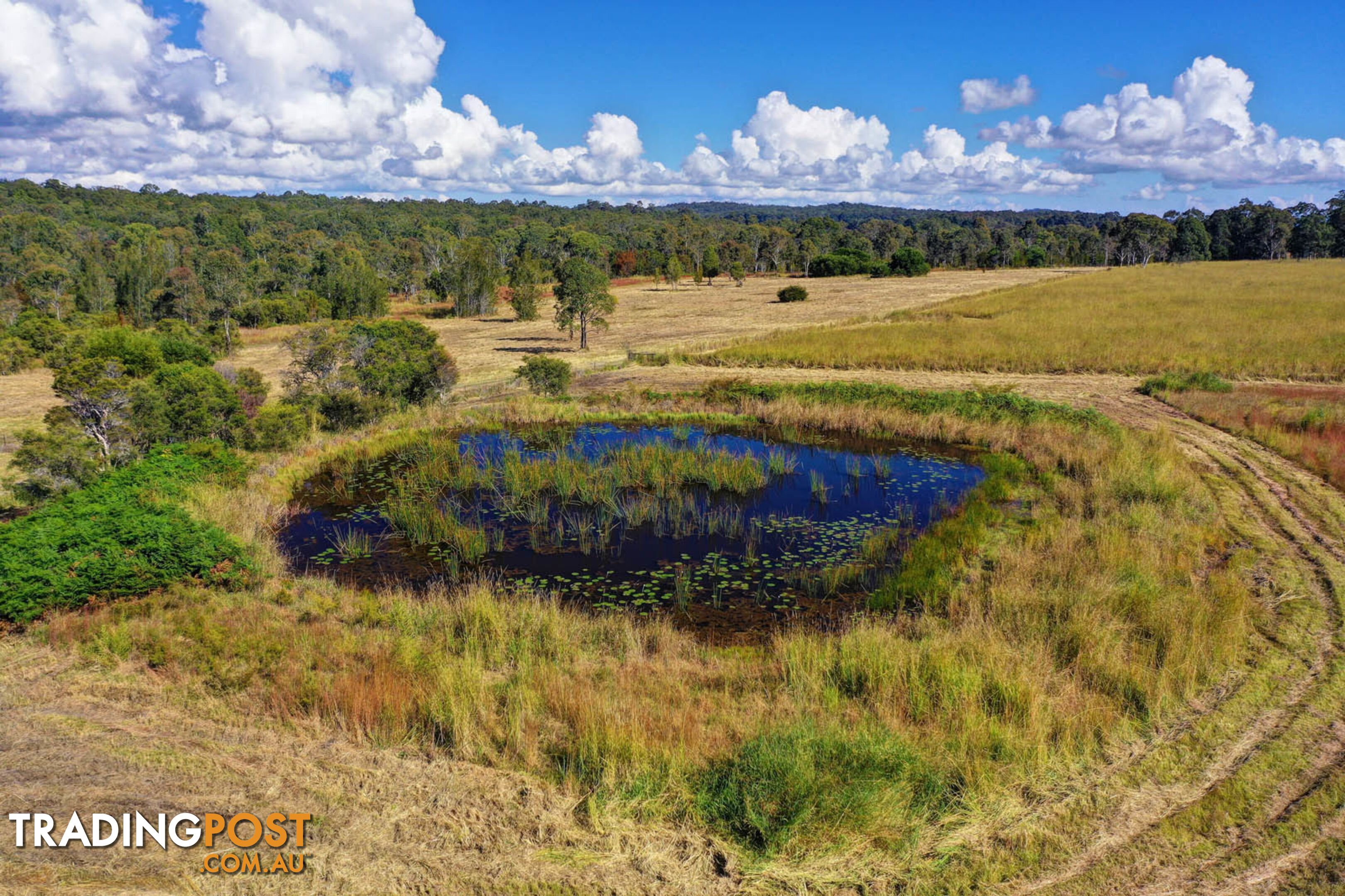 Nabiac NSW 2312