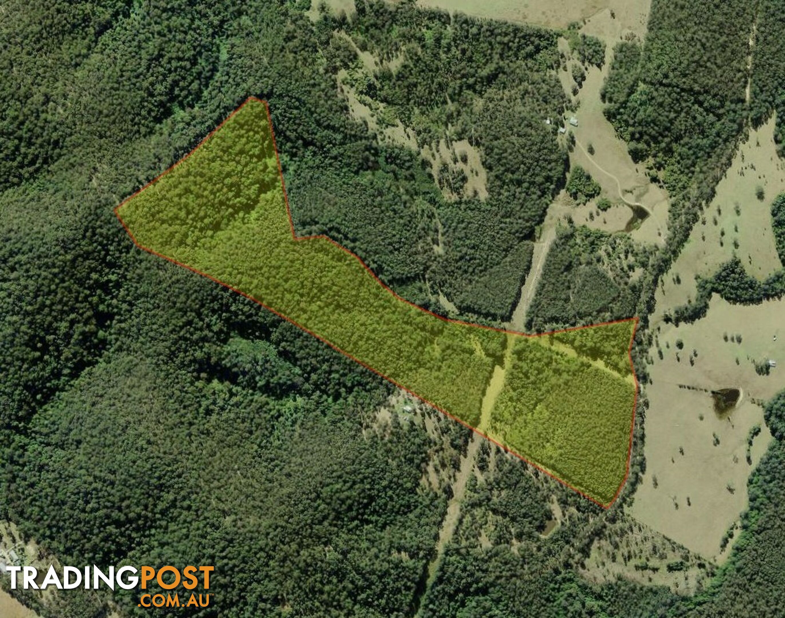 Lot 51, 801 Manning Hill Rd Bunyah NSW 2429