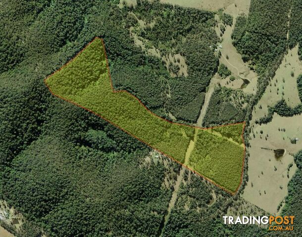 Lot 51, 801 Manning Hill Rd Bunyah NSW 2429