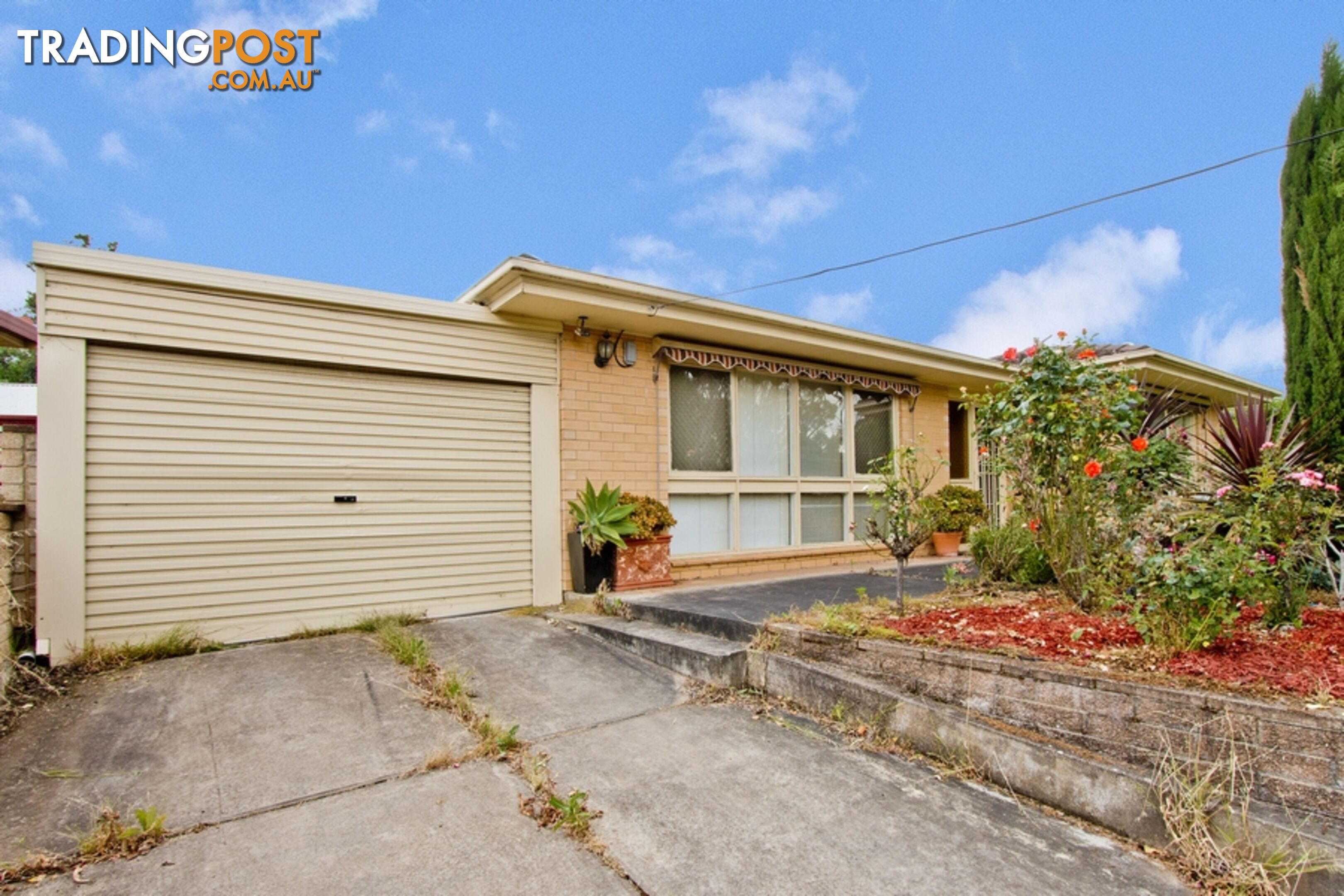 41 Brookvale Road WINDSOR GARDENS SA 5087