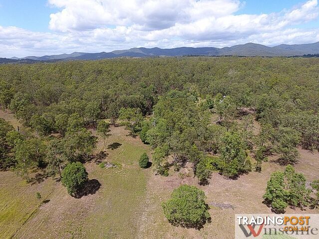 116 Silverwood Avenue TEMAGOG NSW 2440