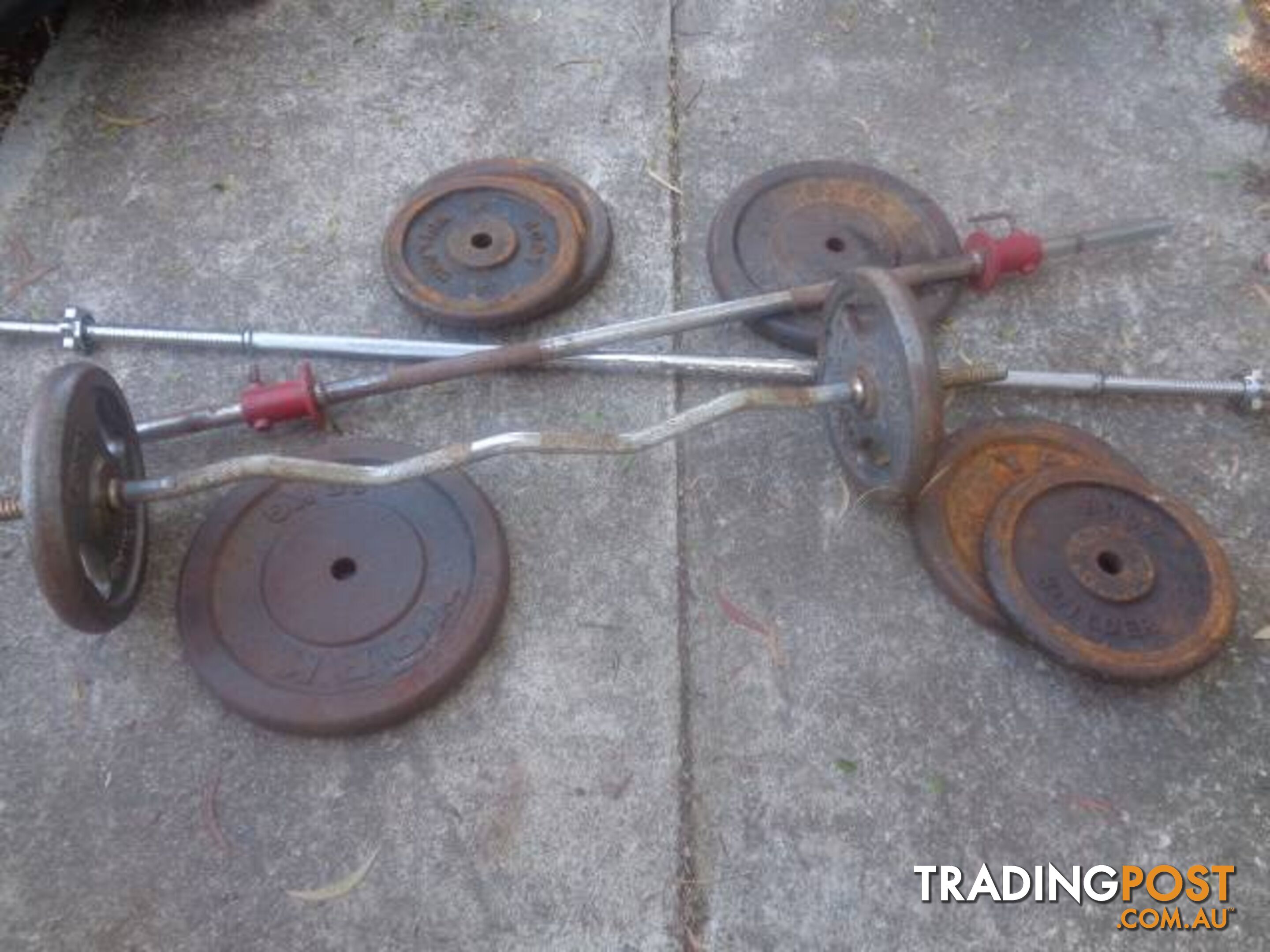 Assorted bench weights plates and bars great condition