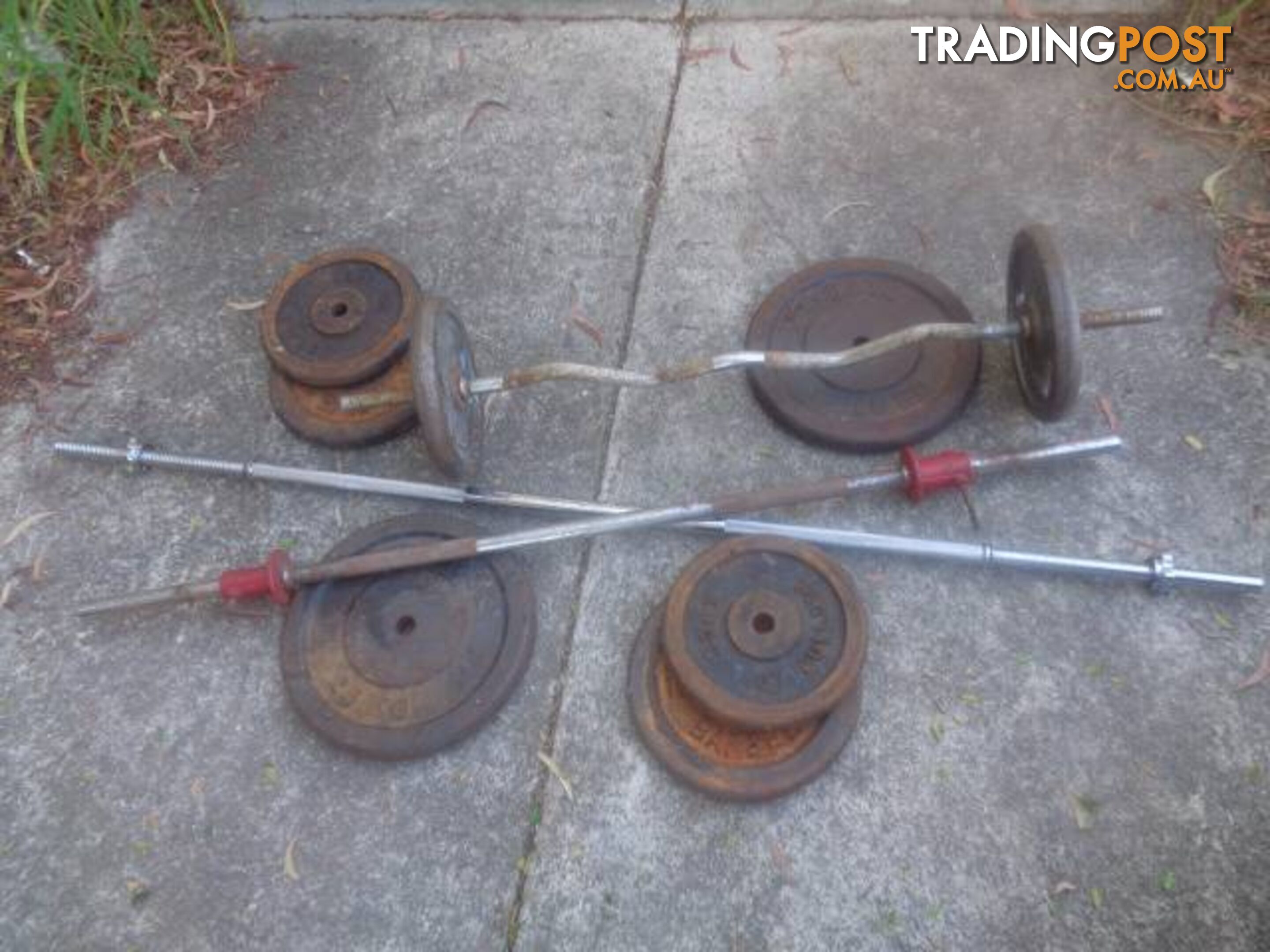 Assorted bench weights plates and bars great condition