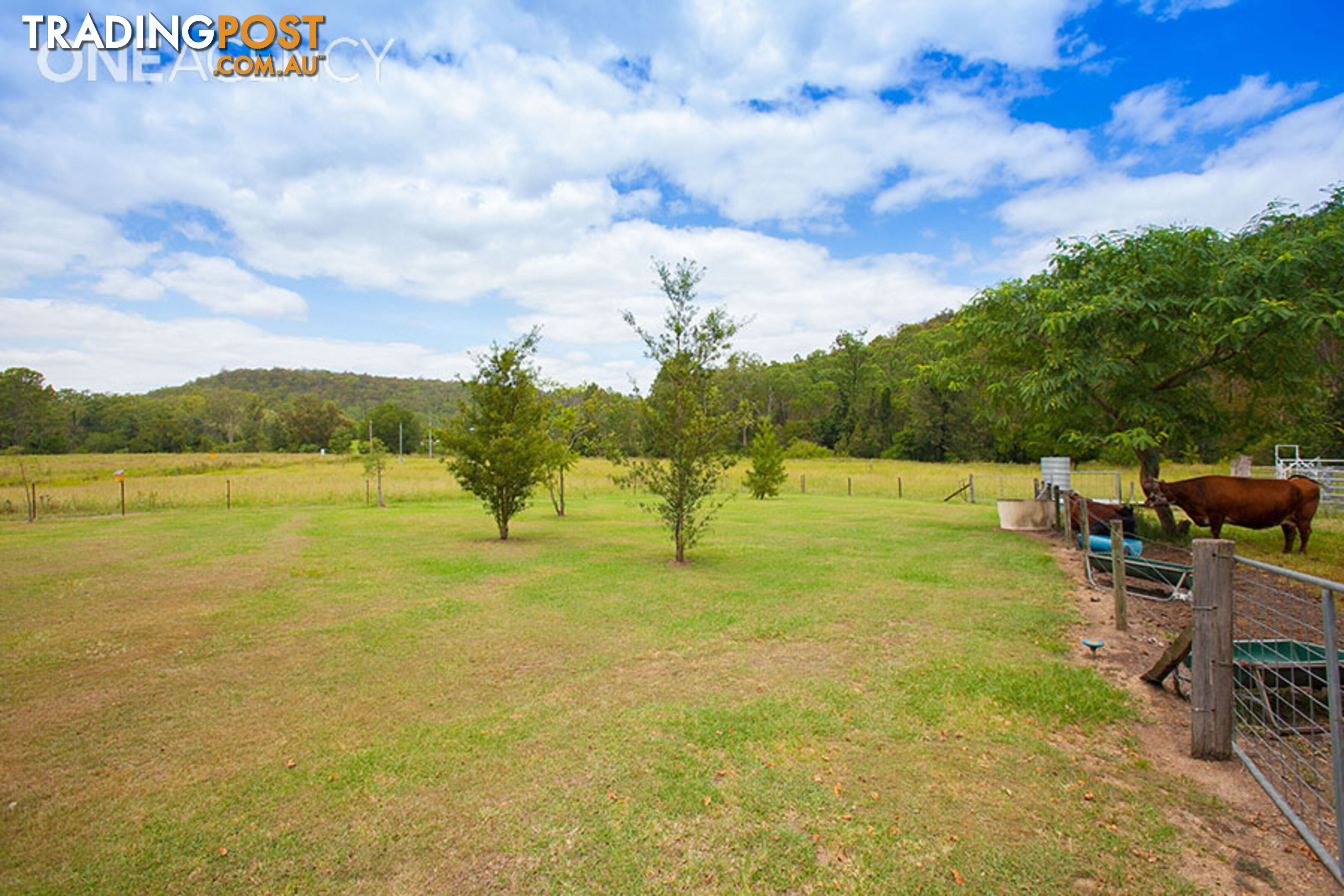 8 Forest Home Road RATHDOWNEY QLD 4287