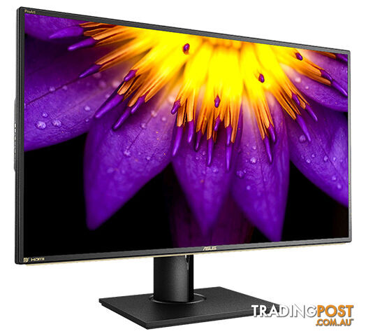 ASUS ProArt PA329Q 32" 4K UHD Quantum Dot 99.5% Adobe RGB IPS Monitor