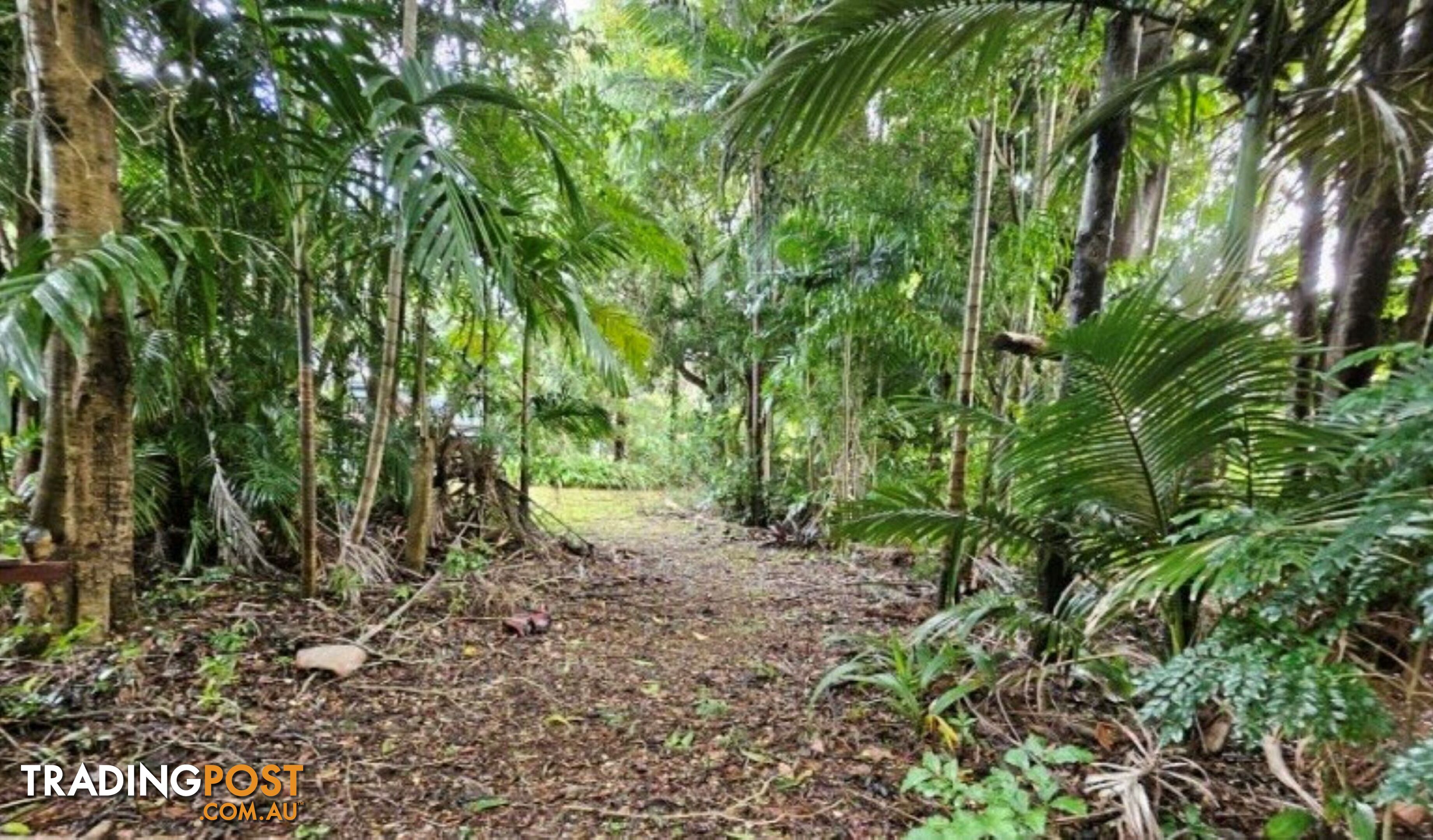 183 High Central Road MACLEAY ISLAND QLD 4184