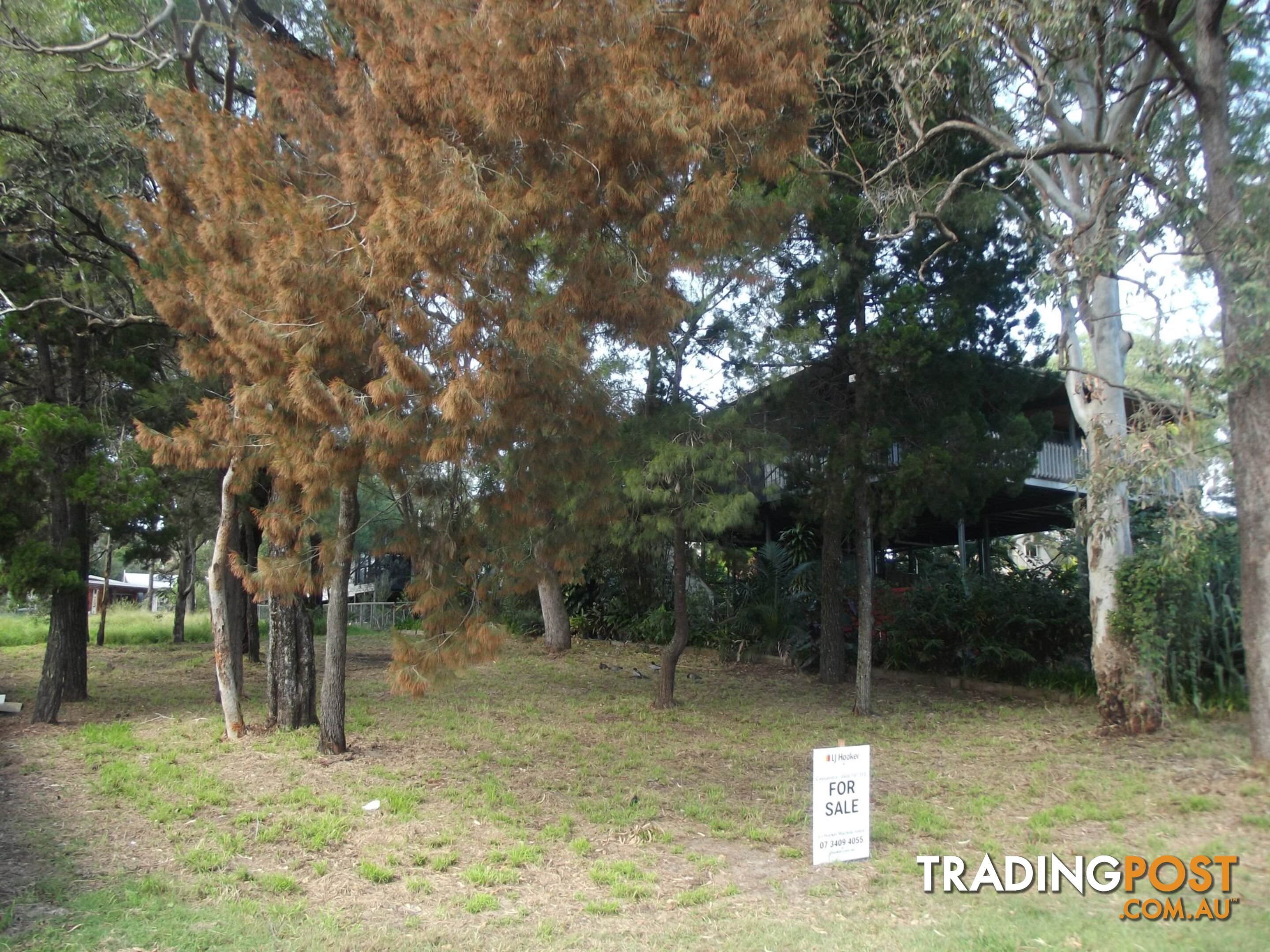 8 Attunga Street MACLEAY ISLAND QLD 4184