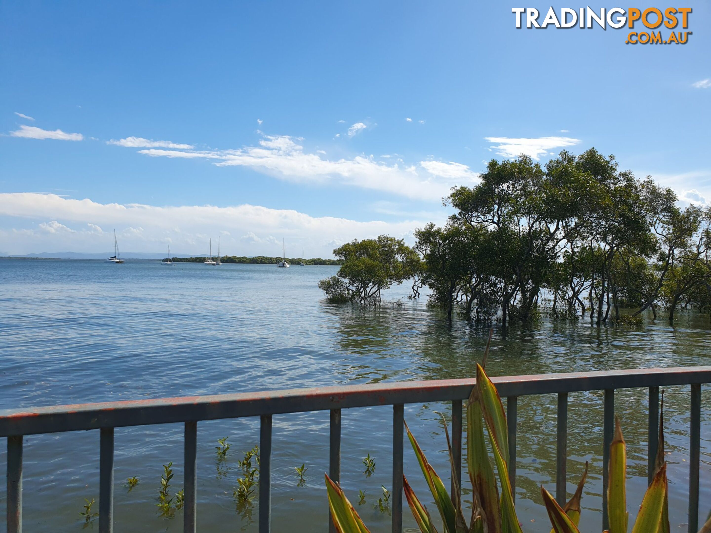 46 Western Road MACLEAY ISLAND QLD 4184