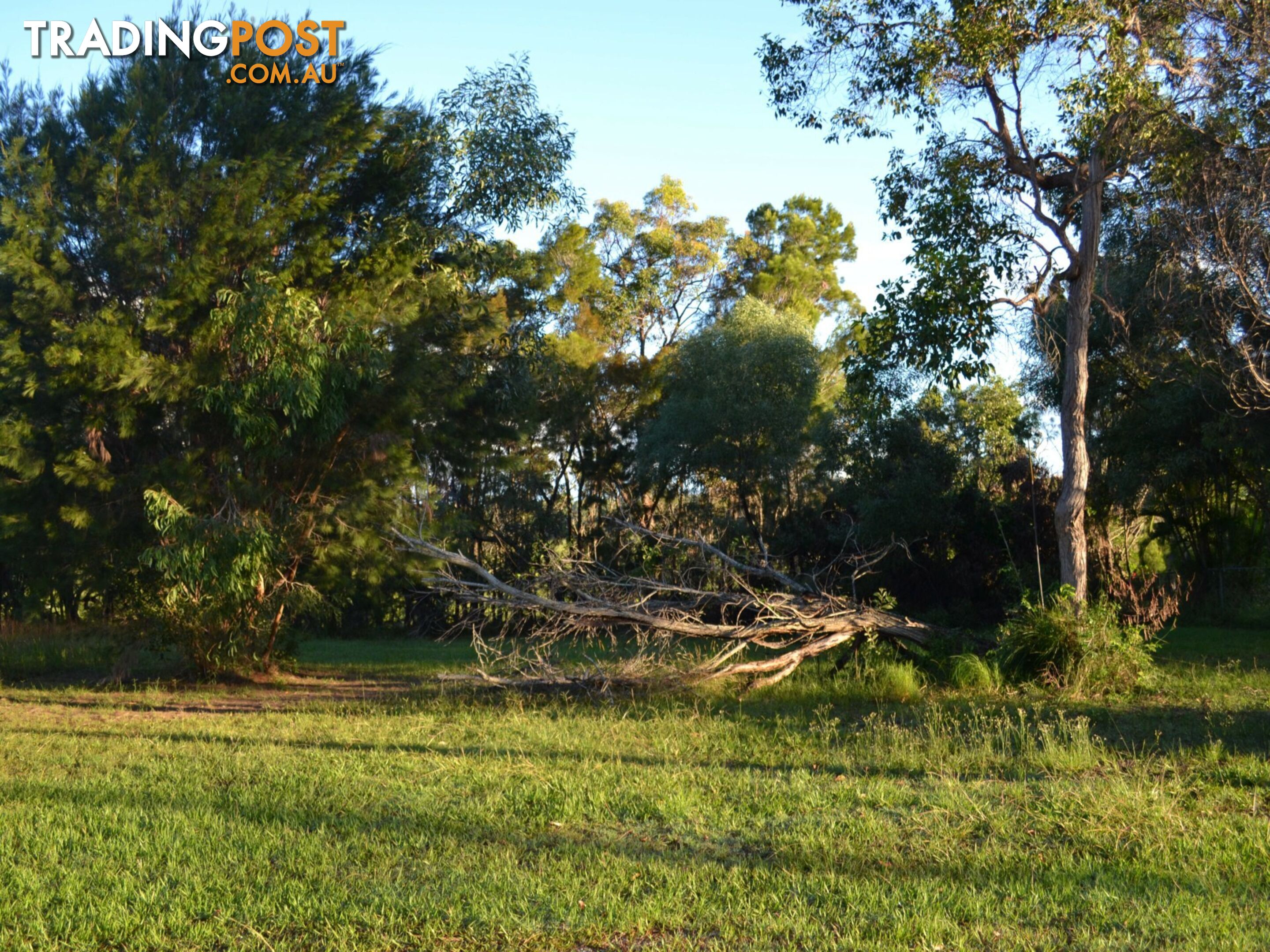 14 Calm Waters Crescent MACLEAY ISLAND QLD 4184